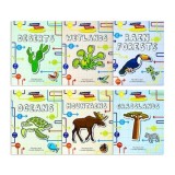 Flowchart Explorers Ecosystems