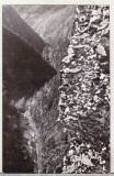 Bnk cp Defileul Argesului la Cetatea Poienarii - Vedere - necirculata, Printata, Arges