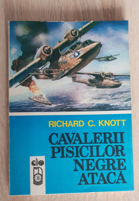 Cavalerii pisicilor negre atacă - Richard C. Knott foto