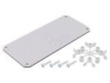 Placă de montare h&acirc;rtie tare 74x160x2.5mm