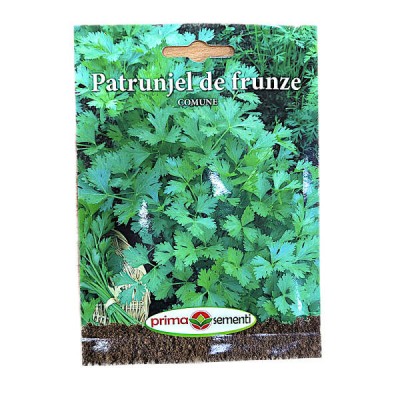 Seminte patrunjel frunze Comune 5 gr, Prima Sementi foto