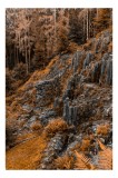 Tablou Canvas, "Pădurea de piatră &icirc;n amurg tomnatic", Pădure, Toamnă, Rocă, Columnară, Vegetație, &Icirc;mpădurită, Textură, Ruginiu, Coloane, Natură, Falez