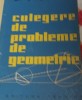Culegere Probleme Geometrie Titeica - Matematica, Tehnica 1962, 382 Pagini