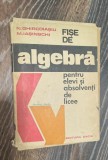 Fișe de algebră pentru elevi și absolvenți de licee - N Ghircoiașu, M. Iașinschi