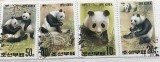 (B ) Timbre serii Straine tema Animale Panda Ursul, Stampilat