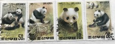 (B ) Timbre serii Straine tema Animale Panda Ursul