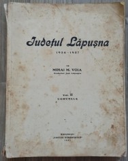 Judetul Lapusna (1934-1937), Comunele - Mihai M. Voia// vol II, 1937 foto