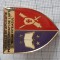 insigna scoala de aplicatie pentru unitati de lupta