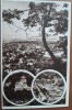Carte postala, aspecte din Brasov, perioada interbelica