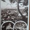 Carte postala, aspecte din Brasov, perioada interbelica
