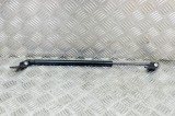 Amortizor capota st&acirc;nga față TESLA MODEL S 2017 OEM: 1062634-00-A 14336931