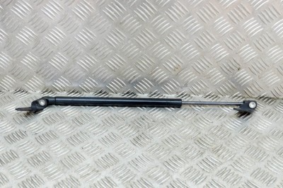 Amortizor capota st&amp;acirc;nga față TESLA MODEL S 2017 OEM: 1062634-00-A 14336931 foto