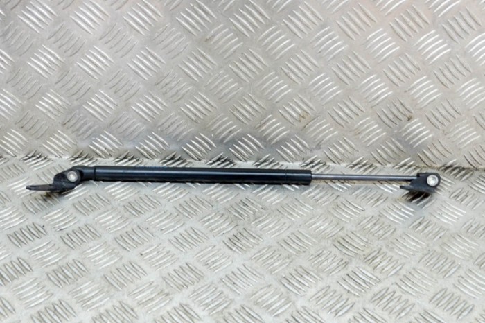 Amortizor capota st&acirc;nga față TESLA MODEL S 2017 OEM: 1062634-00-A 14336931
