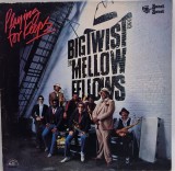 Big Twist And The Mellow Fellows &lrm;&ndash; Playing For Keeps NM / VG+ vinil, LP, disc rock blues _ Sonet, UK, 1983