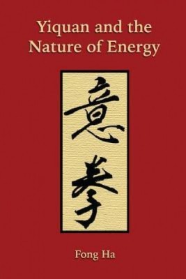 Yiquan and the Nature of Energy foto