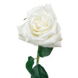Floare Artificială Trandafir, Alb, 30 cm, Plastic, Oem