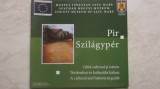 Pir (Szilagyper) - Ghid cultural si istoric, 2008