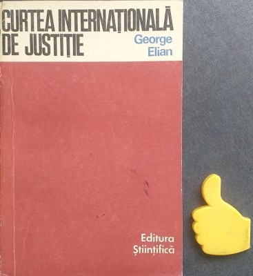 Curtea internationala de justitie George Elian foto