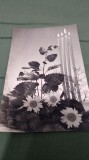 Cumpara ieftin CARTE POSTALA FELICITARE CIRCULATA