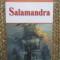 EUGENE SUE - SALAMANDRA