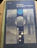 MNL MATE. Manuale -Culegere de Probleme Fizica