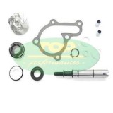 Kit pompa apa Kymco Downtown 125 i (09-16) 4T LC 125cc, Oem