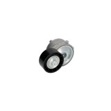 Intinzator curea PEUGEOT PARTNER Tepee DAYCO APV2556
