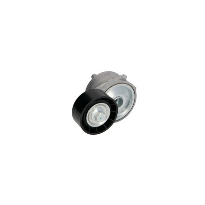 Intinzator curea CITROEN BERLINGO B9 DAYCO APV2556 foto