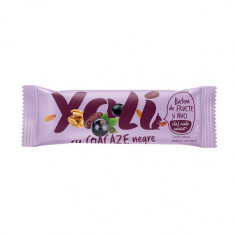 Baton de fructe "yoli" cu coacaze negre 30gr transilvania nuts