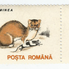 România, LP 1318/1993, Animale (uzuale), h. cretată, deplas. dant., eroare, MNH