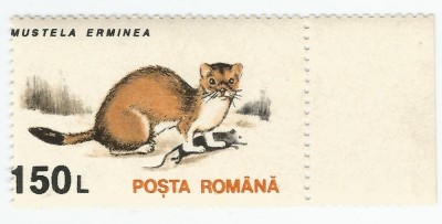 Rom&amp;acirc;nia, LP 1318/1993, Animale (uzuale), h. cretată, deplas. dant., eroare, MNH foto