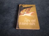 DOMNITA GEORGESCU MOLDOVEANU - PATRU COPII IN MARELE CODRU
