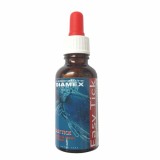 Solutie Indepartare Capuse Diamex Easy Tick 30ml Caini - Elimina Rapid si Usor Capusele Intregi, Fara Dezinfectare
