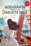 Adevarata poveste a lui Charlotte Doyle, Grupul Art