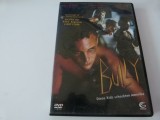 Bully,dvd