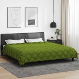 vidaXL Duvet de iarnă Verde 240 x 200 cm Microfibră 42025672