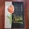 Dragostea de Adriana Deculescu