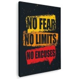 Tablou afis No Fear No Limits No Excuses Tablou canvas pe panza CU RAMA 70x100 cm