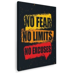 Tablou afis No Fear No Limits No Excuses Tablou canvas pe panza CU RAMA 20x30 cm