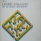 LEXICUL DE BAZA AL LIMBII ENGLEZE, DICTIONAR CONTRASTIV-EDITH IAROVICI, RODICA MIHAILA-COVA-194269
