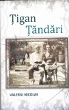 Valeriu Nicolae - Tigan Tandari