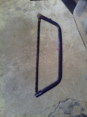 Fierastrau de Mana Taranesc foto