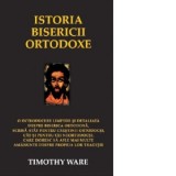 Istoria bisericii ortodoxe. O introducere limpede si detaliata despre Biserica Ortodoxa, scrisa atat pentru crestinii ortodocsi, cat si pentru cei neo