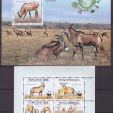 21-MOZAMBIC 2010-Colita si bloc de 4 timbre WWF antilopa MNH