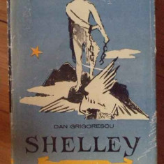 Shelley - Dan Grigorescu ,304255