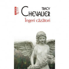 Ingeri cazatori (editie de buzunar) - Tracy Chevalier