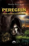 Cumpara ieftin Peregrin. Prin patria cuvintelor/Iulian Boldea