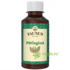 Sirop de Patlagina 200ml