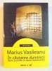 IN CAUTAREA DUMINICII - MARIUS VASILEANU