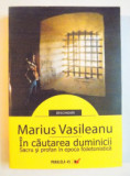 IN CAUTAREA DUMINICII - MARIUS VASILEANU